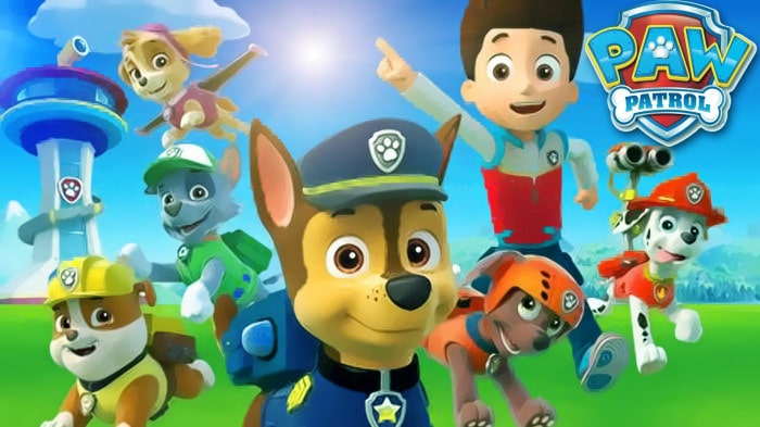 paw patrol 22