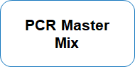 PCR Master Mix