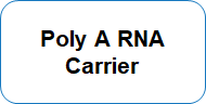 Poly A RNA Carrier