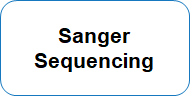 Sanger Sequencing