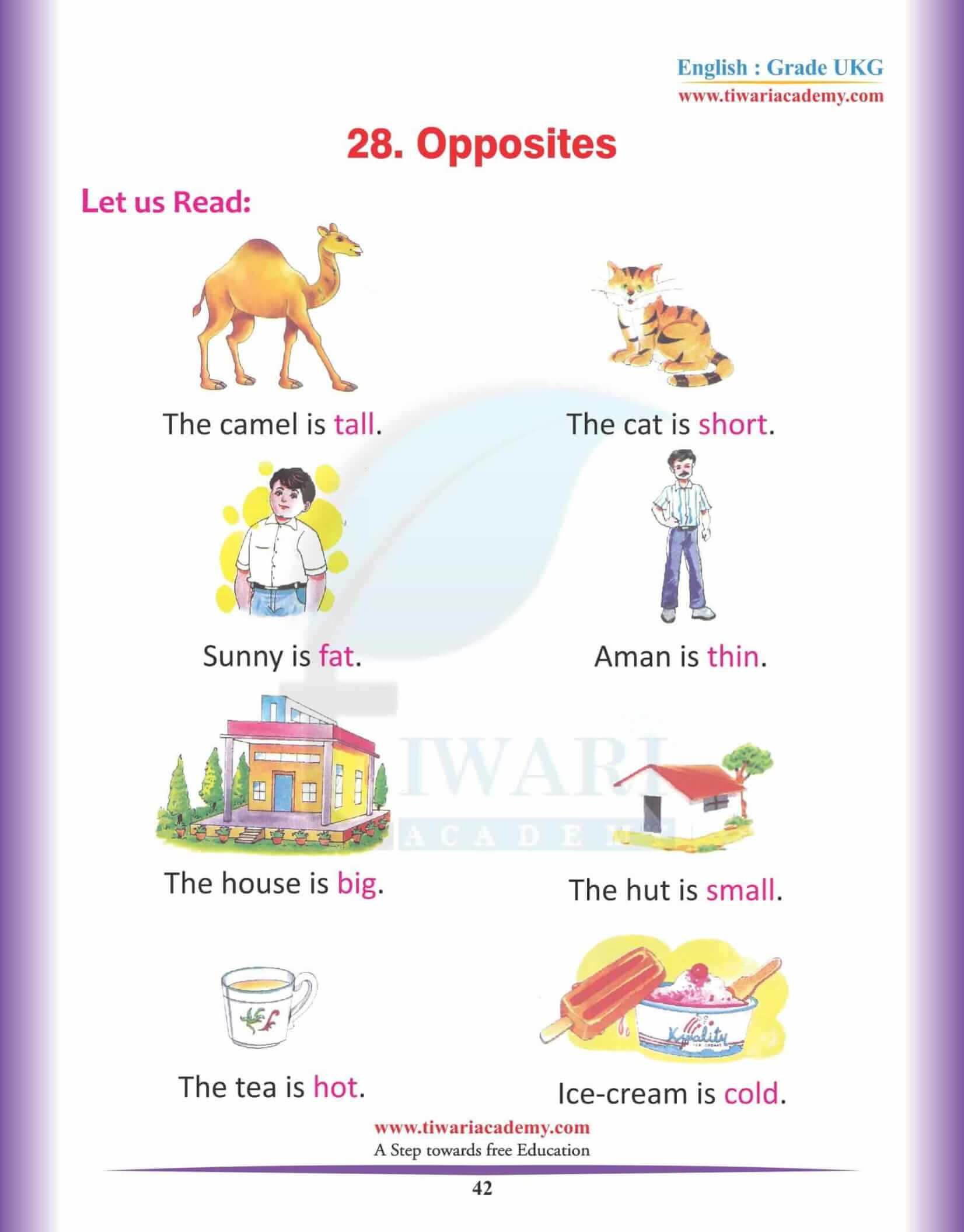 KG English Practice Book 11