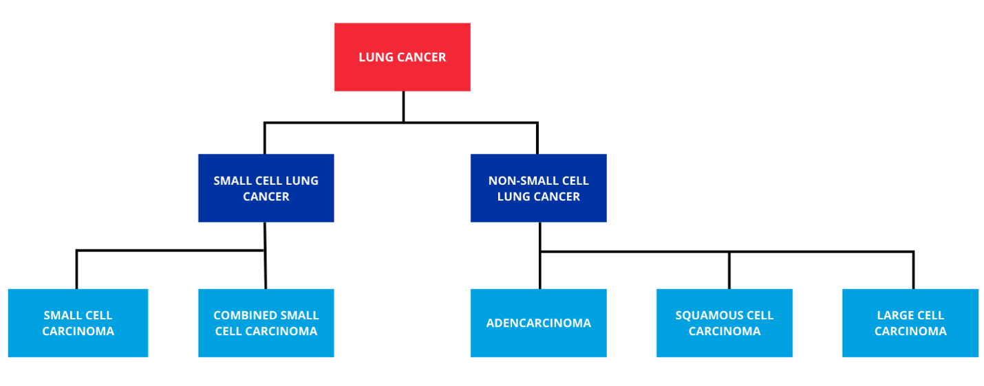 Surviving with Lung Cancer: Remember These 3 Things | Tallahassee ...