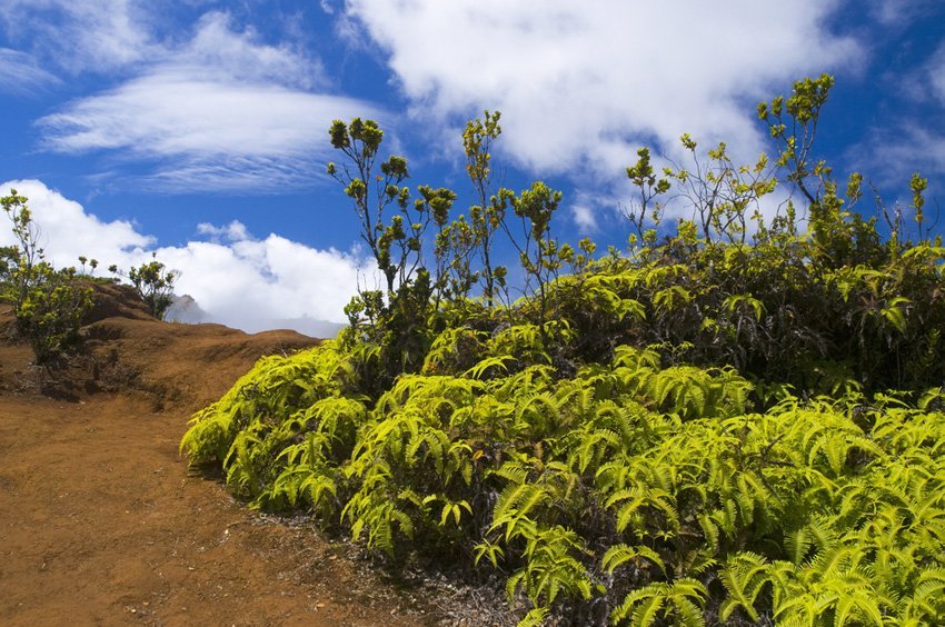 Kauai travel guide | To-Hawaii.com