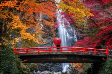 osaka minoh waterfall momiji autumn leaves daytrip fall foliage