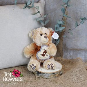 Brown Teddy Bear | 23 cm