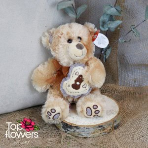 Brown Teddy Bear | 23 cm