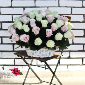 51 White and Pink Roses | Basket