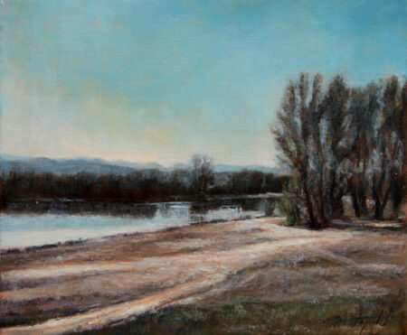 By the Danube River Pond - Original Landscape Oil Painting on Canvas - by artist Darko Topalski