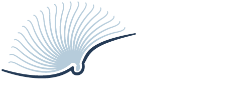 Top Free Books