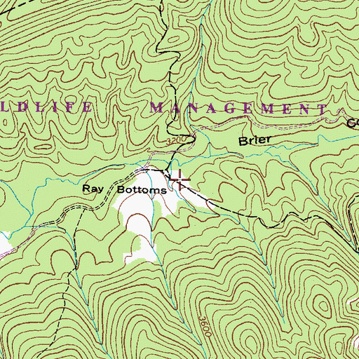 Topographic Map of Ray Bottoms, VA