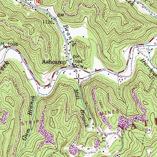 Topographic Map of Mill Branch, KY