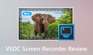 VSDC Screen Recorder Review