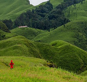 Dzukou Valley Trek