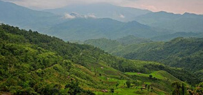 Tuensang, Nagaland