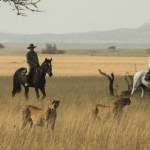 Great Plains Conservation