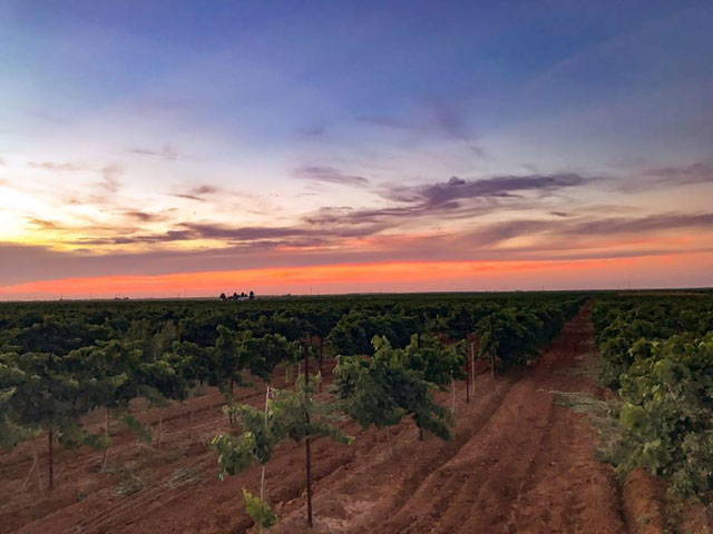 Waco, Texas