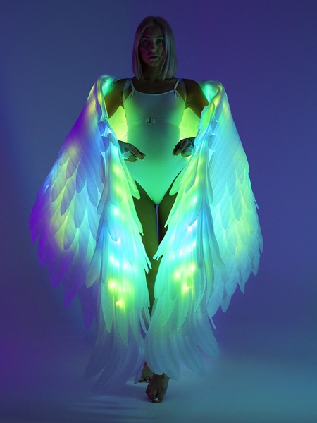 Illuminated Angel Wings