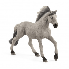 Schleich Zvířátko - hřebec Sorraia Mustang