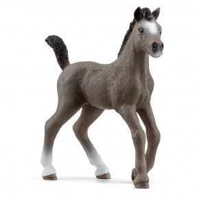 Schleich 13957 Zvířátko - Hříbě plemene Selle Français