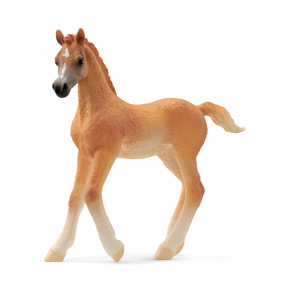 Schleich 13984 Zvířátko - arabské hříbě