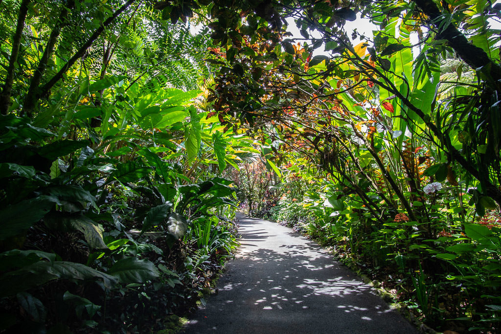 hawaii tropical botanical garden