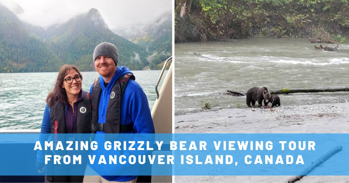 grizzly bear viewing from vancouver island canada