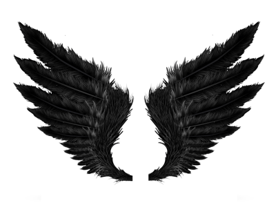 Download WINGS Free PNG transparent image and clipart