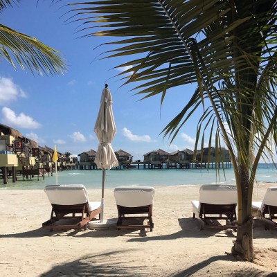 Beach chairs at an all-inclusive resort.