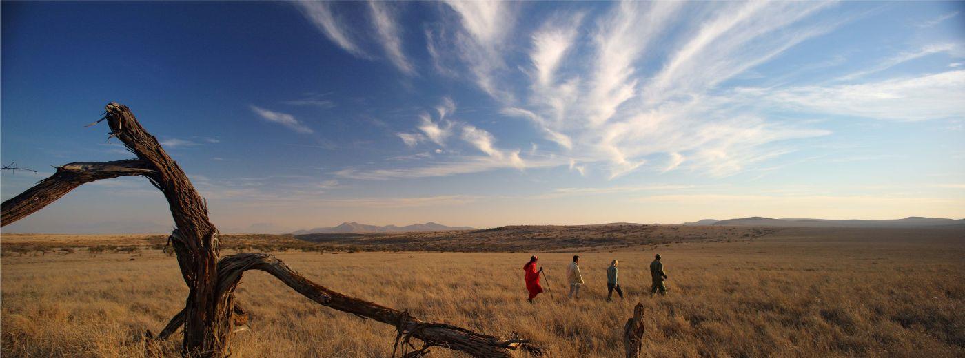 Lewa Safari Camp