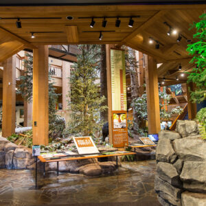 people peruse the large displays of trees and rocks inside the World Forestry Center