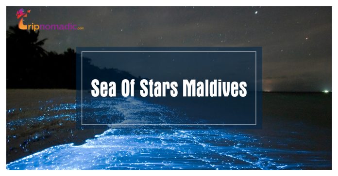 Sea Of Stars Maldives