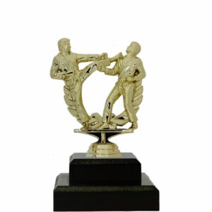 karate Trophies