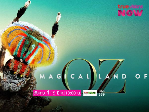 The Magical Land of Oz