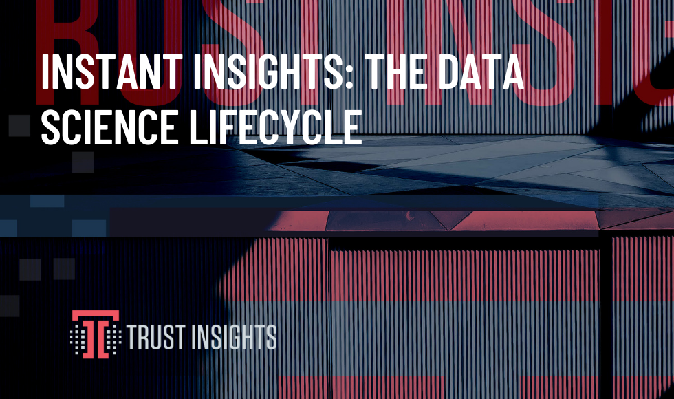 INSTANT INSIGHTS: THE DATA SCIENCE LIFECYCLE