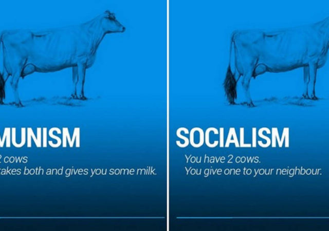 Two Cows Explain The World Economy Better Than Any Professor