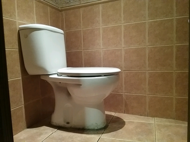 Photo/s of characteristics of adapted toilet in common areas