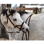 brownleather LEATHER Sidepull Bitless Bridle