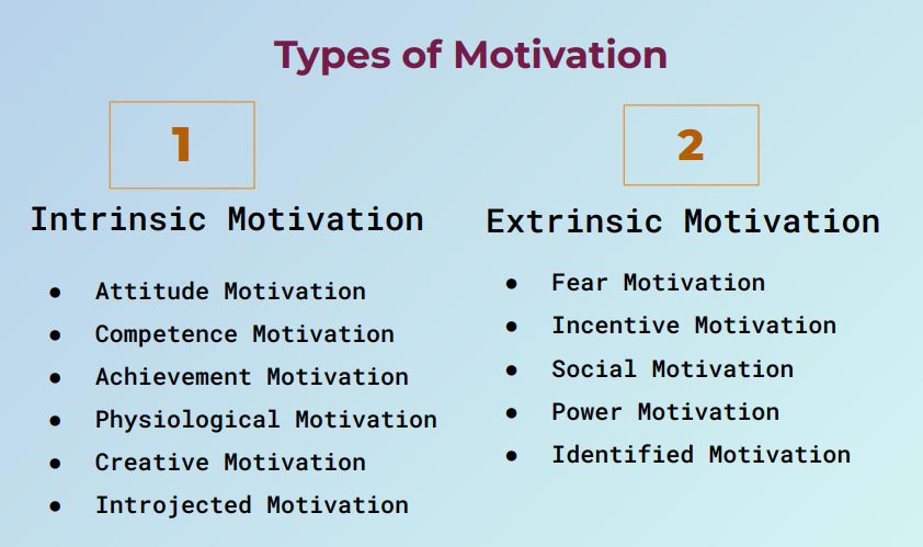 What Is Extrinsic Motivation And How Can You Use It - vrogue.co