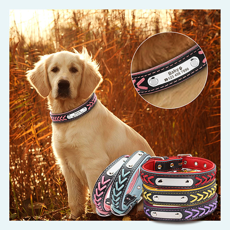 Braided Leather Engraved Dog Collars with Personalized Nameplate