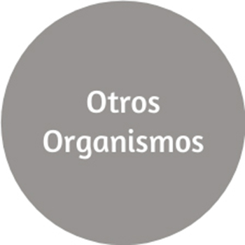 Becas y ayudas otros UCM