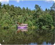 BeWILDerwood in Norfolk, another great day out