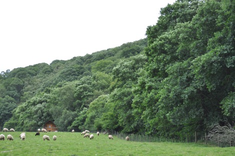 A rural setting for the wigwams at Black Hall Lodges