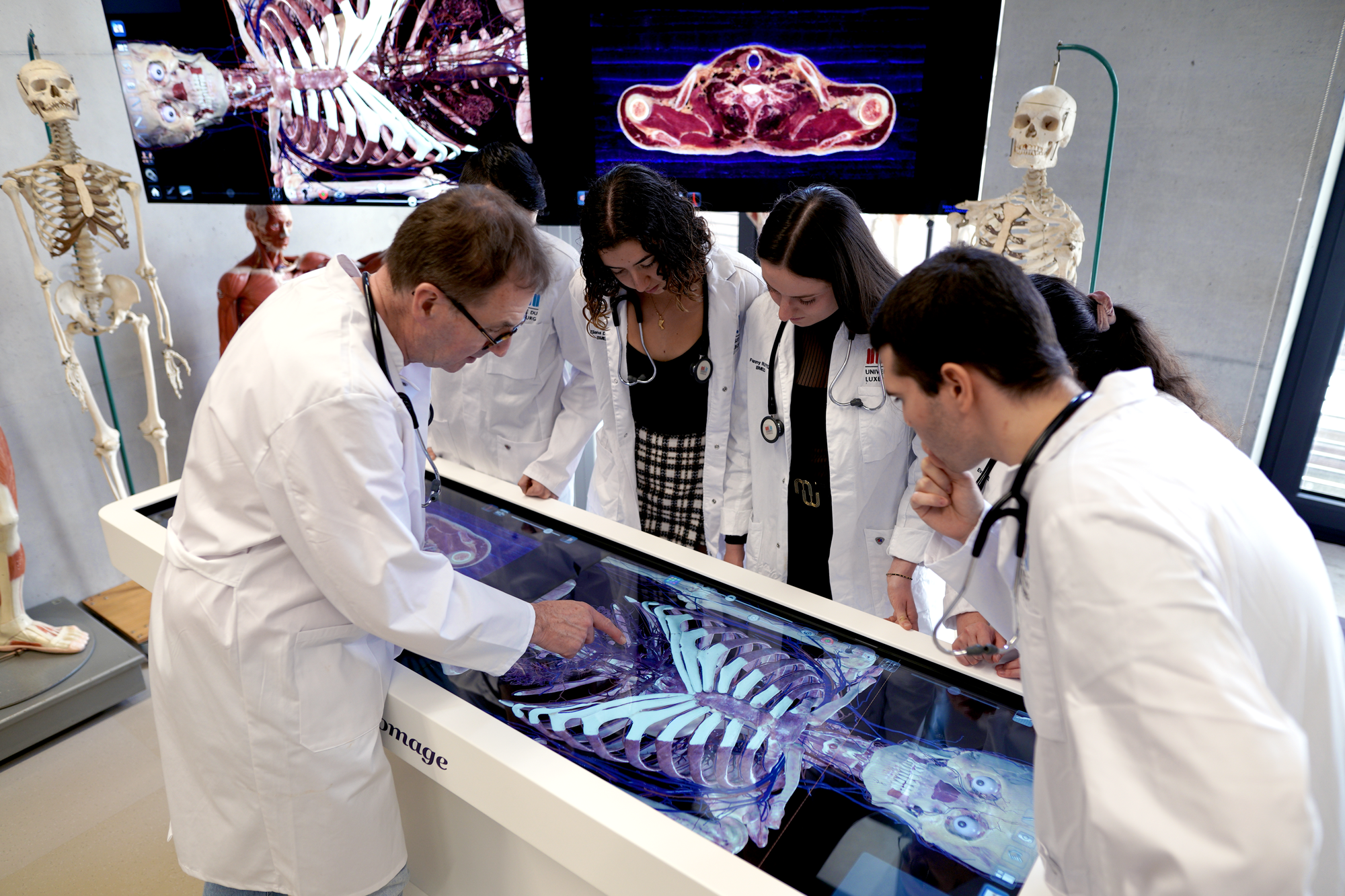 Medical students over X-Ray screen