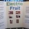 science fair projects | he estimated the lemon would, but actually