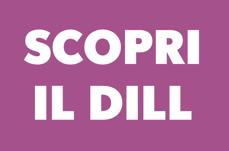 Scopri il DILL