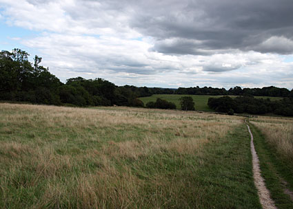 Petts Wood Walk