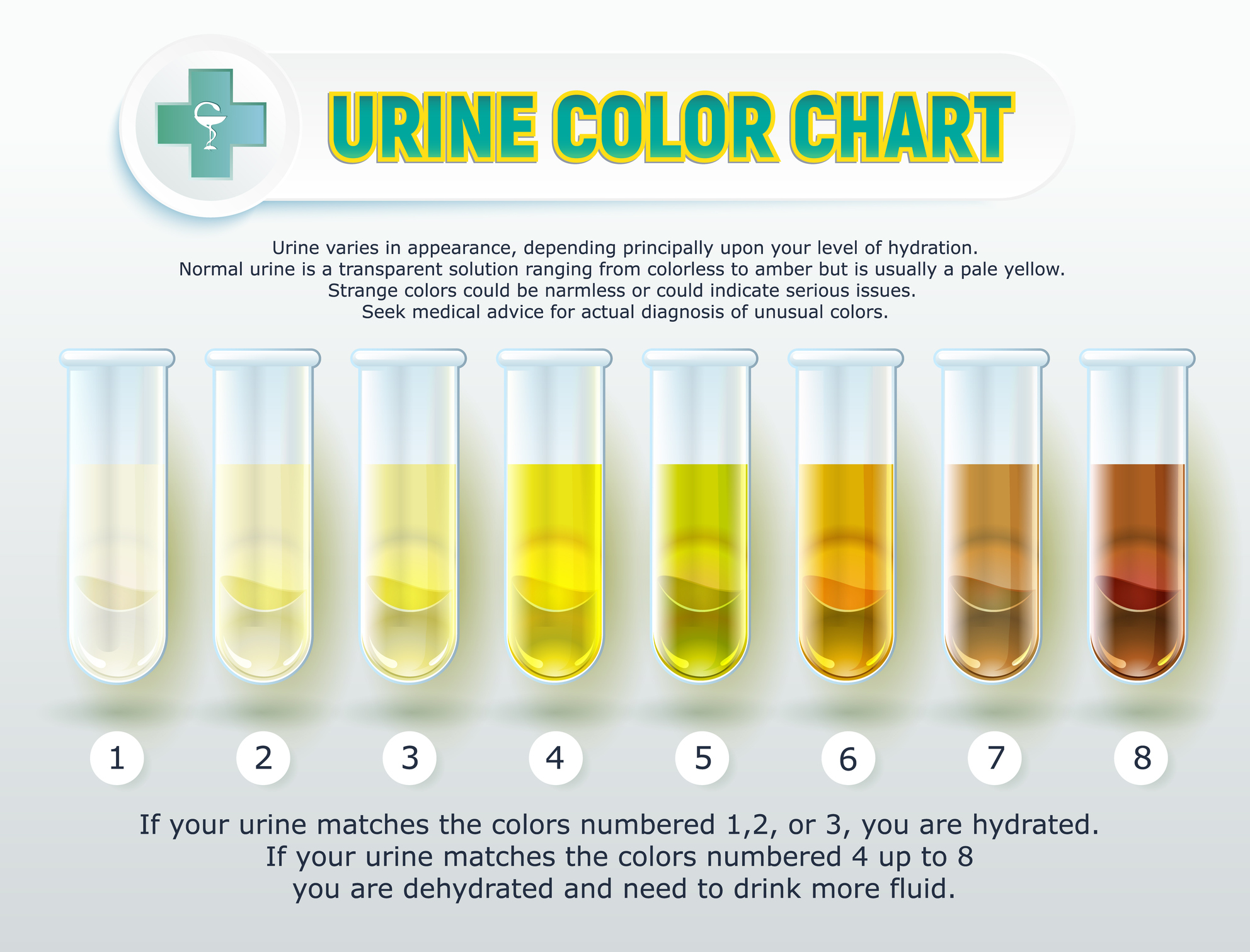 Understanding the Importance of Urine Color | Urology Specialists of ...