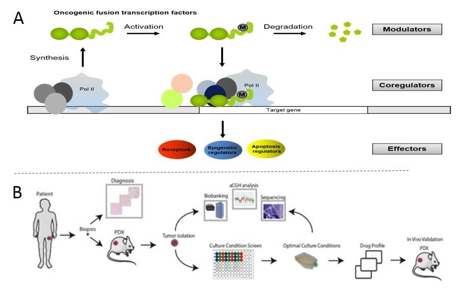 Research Group Beat W. Schäfer – USZ