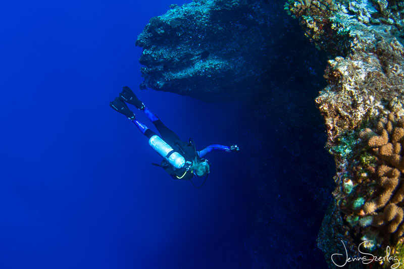 Diver on Molokini's Back Wall. Maui, Hawaii Nikon D780, f/11, 1/125, ISO 200 Photo by Jenna Szerlag