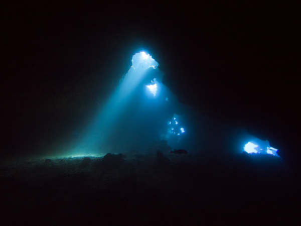 Cathedral Dive, Lanai HI taken with SeaLife Micro 3.0 Photo: Jenna Szerlag